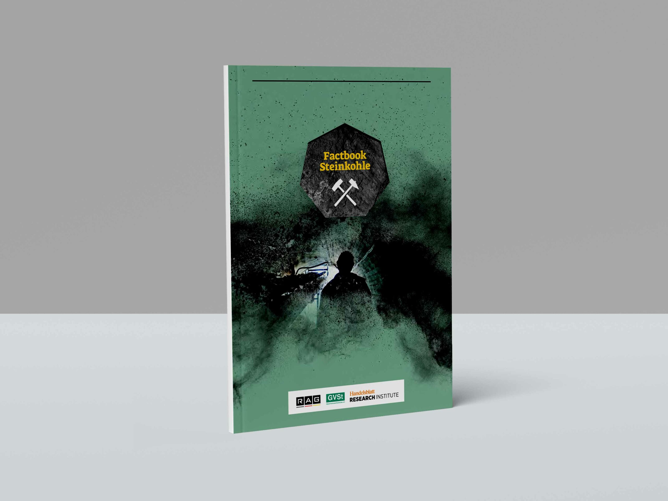Factbook Steinkohle