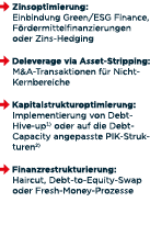 ￼ Zinsoptimierung: Einbindung Green/ESG Finance, F rdermittelfinanzierungen oder Zins Hedging ￼ Deleverage via Asset ...
